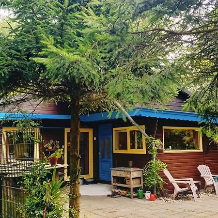 Het Houten Boshuisje Hattemerbroek Bagian luar foto
