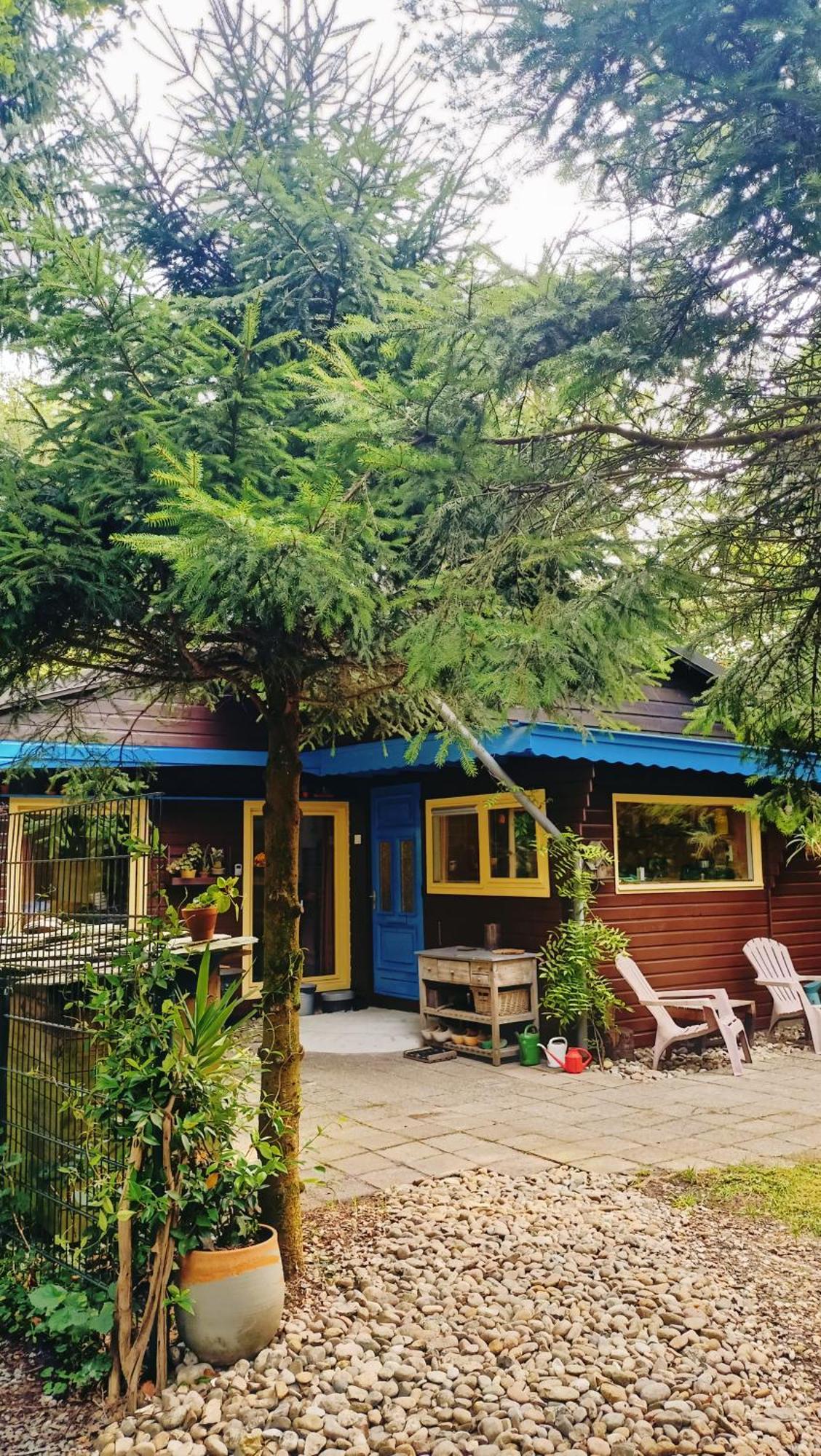 Het Houten Boshuisje Hattemerbroek Bagian luar foto